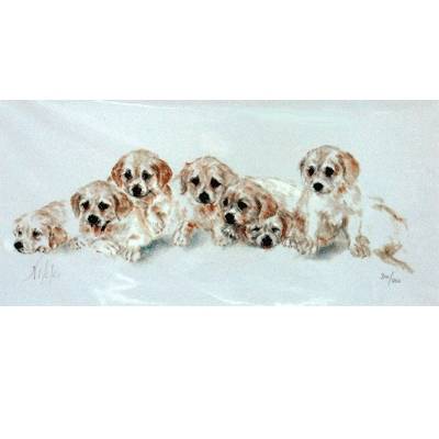 5-582340 Golden Retriever Puppies By: Nikki, Matted sku 5-582340