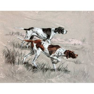 English Pointers By: David Thompson, Matted