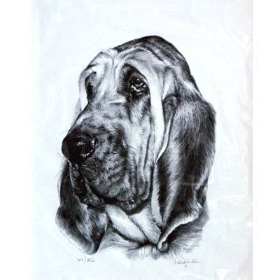 5-582343 Bloodhound By: Sandra Leighton, Matted sku 5-582343