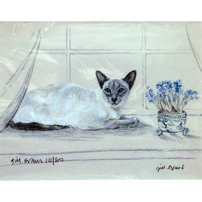 5-582344 Siamese Cat By: Gill Evans, Matted sku 5-582344