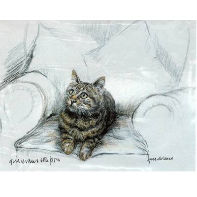 5-582347 Tabby Cat By: Gill Evans, Matted sku 5-582347