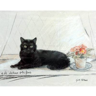 Black Cat on Window Sill By: Gill Evans, Matted