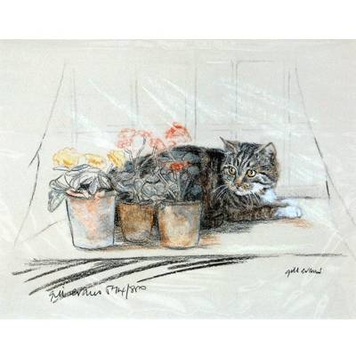 5-582349 Tabby Cat By: Gill Evans, Matted sku 5-582349