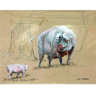 Pig & Piglet By: Gill Evans, Matted