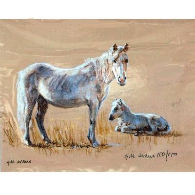 Mare & Foal By: Gill Evans, Matted