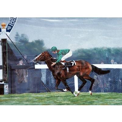 Shergar By: Brian Tovey, Matted