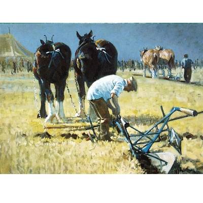 Fine Tuning (Draft Horse) Blank Greeting Cards - 6 Pack