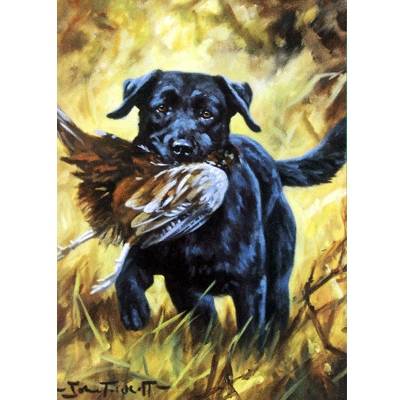 5-582399 Good Boy (Labrador Retriever) Blank Greeting Cards sku 5-582399