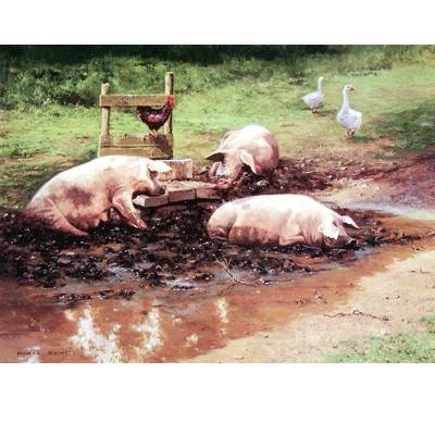 5-582400 Happy as a Pig Blank Greeting Cards - 6 Pack sku 5-582400