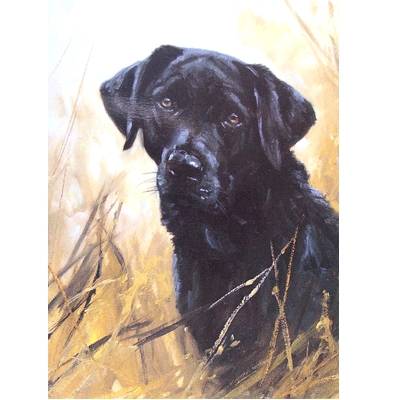 Kindness (Labrador Retriever) Blank Greeting Cards - 6 Pack