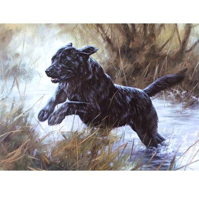 5-582402 Leap for Joy (Labrador Retriever) Blank Greeting C sku 5-582402