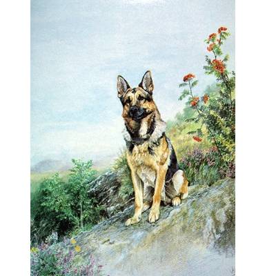 On Guard (German Shepherd) Blank Greeting Cards - 6 Pack