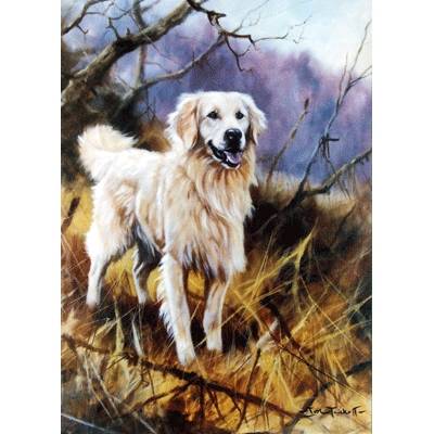 Play Time (Golden Retriever) Blank Greeting Cards - 6 Pack