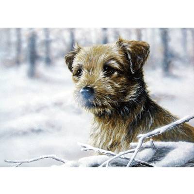 5-582411 Snow Border (Border Terrier) Blank Greeting Cards  sku 5-582411