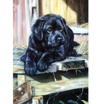 Taking a Break (Labrador Retriever) Blank Greeting Cards - 6 Pack