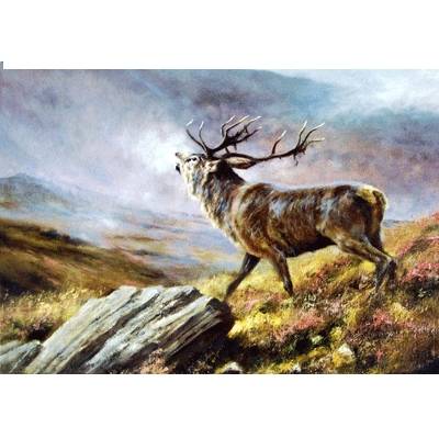 5-582413 The Challenge (Deer) Blank Greeting Cards - 6 Pack sku 5-582413