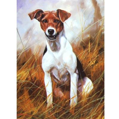 The Scrapper (Jack Russell) Blank Greeting Cards - 6 Pack