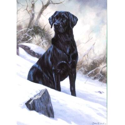 Winter Boy (Labrador Retriever) Blank Greeting Cards - 6 Pack