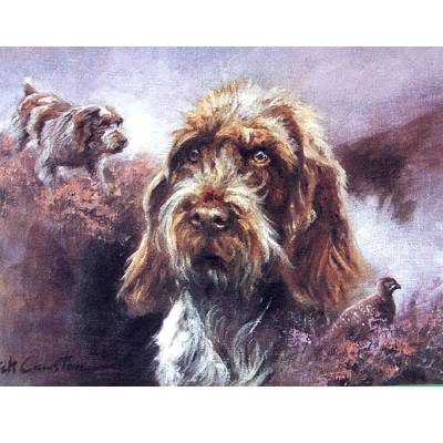 5-582423 Wirehaired German Pointer Blank Greeting Cards - 6 sku 5-582423