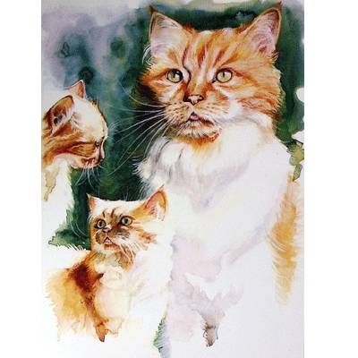 The Ginger Tom Blank Greeting Cards - 6 Pack