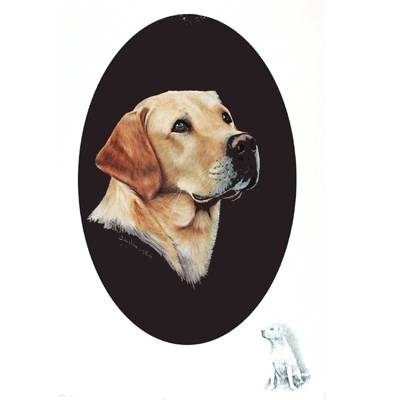 Yellow Lab by: Josephine Copley