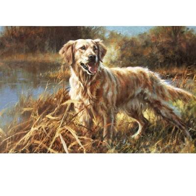 Golden Retriever By: Mick Cawston