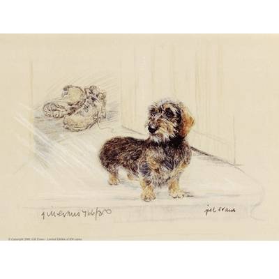 5-582491 Wire Haired Dachshund By: Gill Evans, Matted sku 5-582491