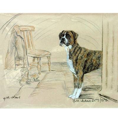 Boxer By: Gill Evans, Matted