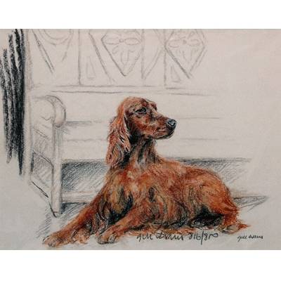 5-582493 Irish Setter By: Gill Evans, Matted sku 5-582493