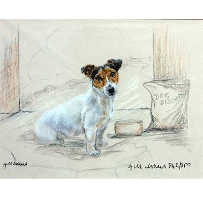 Terrier with Biscuits By: Gill Evans, Matted