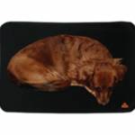 TechNiche Equestrian Home, Gifts & Jewelry