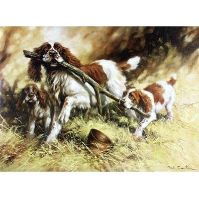 5-582533 Branching Out (English Springer) Blank Greeting Ca sku 5-582533