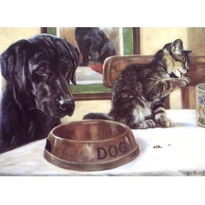 Cat Burglar (Cat and Labrador) Blank Greeting Cards - 6 Pack