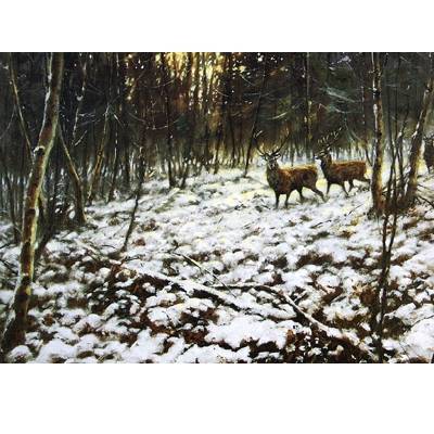 5-582535 Christmas Eve (Deer) Blank Greeting Cards - 6 Pack sku 5-582535