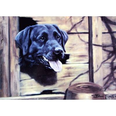 Gap in the Fence (Labrador Retriever) Blank Greeting Cards - 6 Pack