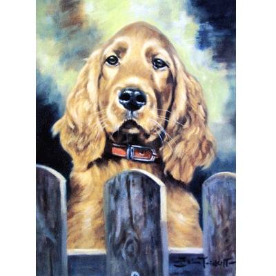 Irish Eyes (Cocker Spaniel) Blank Greeting Cards - 6 Pack