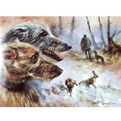 Lurchers Blank Greeting Cards - 6 Pack