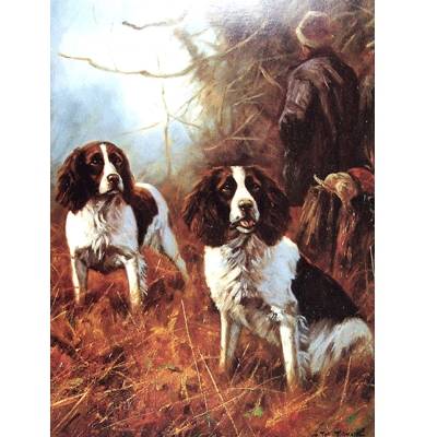 Springers at Work (English Springer) Blank Greeting Cards - 6 Pack