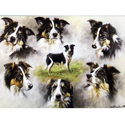 The Border Collie Blank Greeting Cards - 6 Pack