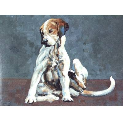 Turning Em Over (Foxhound) Blank Greeting Cards - 6 Pack