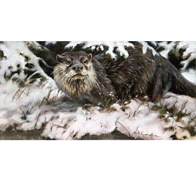 The Otter By: Mick Cawston