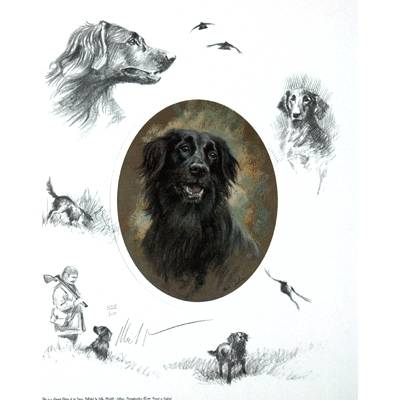 Oval Flat Coat By: Mick Cawston