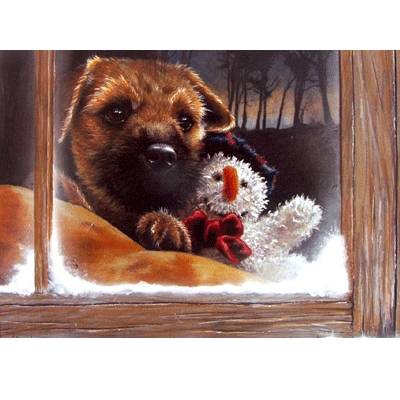 Frosty (Border Terrier) Blank Greeting Cards - 6 Pack