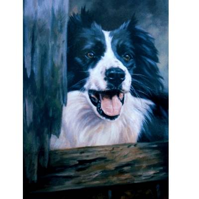 5-582611 Ready for the Day (Border Collie) Blank Greeting C sku 5-582611