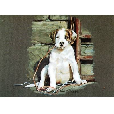 All Strung Up (Puppy) Blank Greeting Cards - 6 Pack