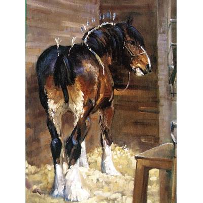 In Make Up (Draft Horse) Blank Greeting Cards - 6 Pack