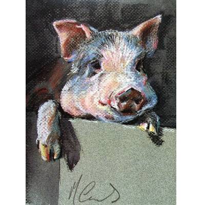 5-582619 Inquisitive (Pig) Blank Greeting Cards - 6 Pack sku 5-582619