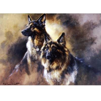 Longhaired German Shepherds Blank Greeting Cards - 6 Pack