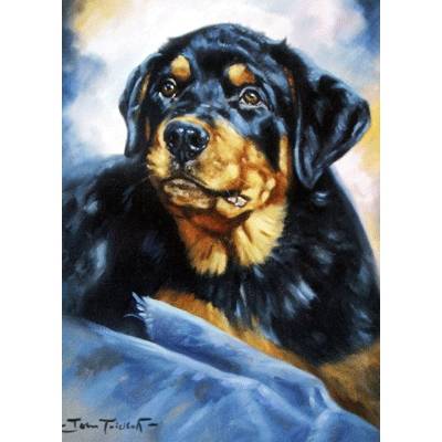 The Rottweiler Blank Greeting Cards - 6 Pack