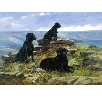 Three is a Crowd (Labrador Retrievers) Blank Greeting Cards - 6 Pack